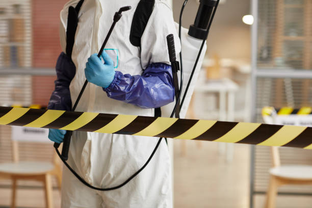 Professional Odor Removal technician working in Oldham, SD