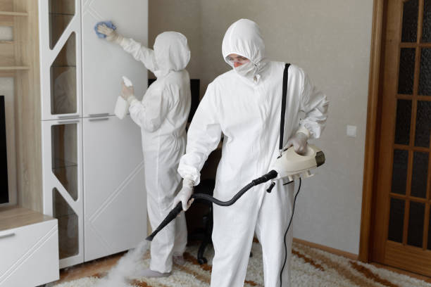 24/7 Emergency Odor Removal experts in Oldham, SD